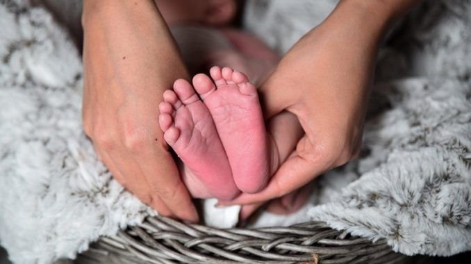 Ordenan al gobierno que se le conceda licencia por maternidad
