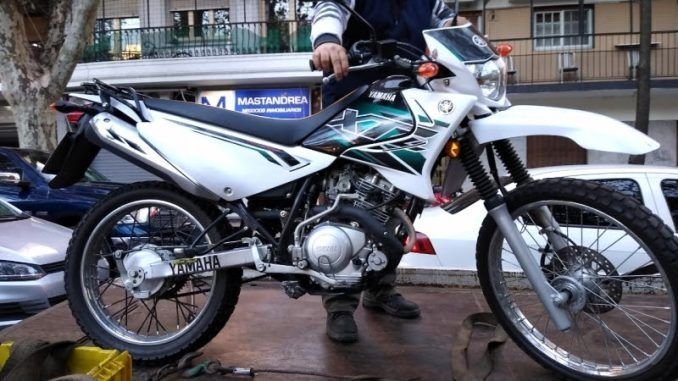 Detuvieron a una mujer con una licencia de conducir falsa