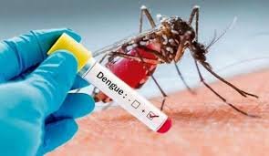 Dengue aumentan los casos