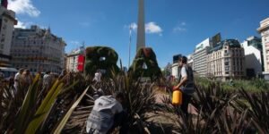 La Ciudad intensifica operativos de desratización en todos los barrios