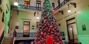 Un árbol Navideño de 9 metros iluminará la Ciudad