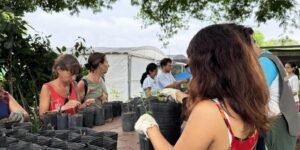 Cómo sumarse a los voluntariados ambientales gratuitos del CIFA